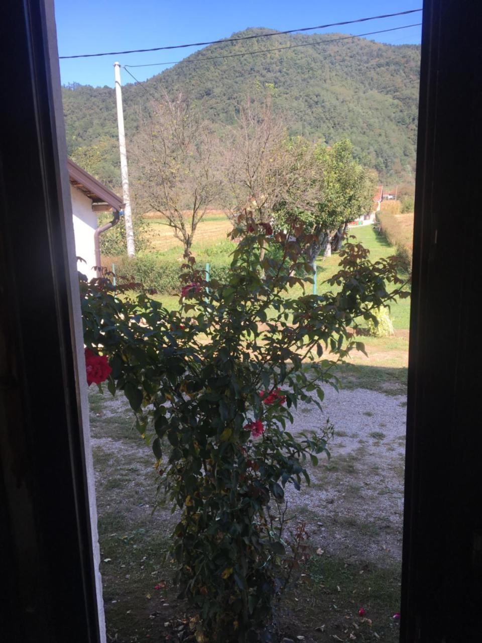 Zvezdica Daire Bajina Basta Dış mekan fotoğraf