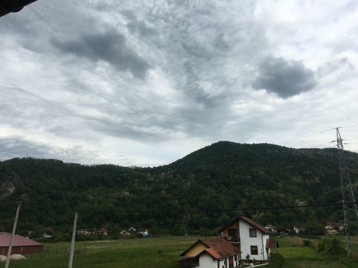Zvezdica Daire Bajina Basta Dış mekan fotoğraf